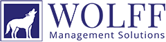 WMS Wolff Management Solutions GmbH